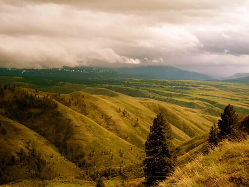 Picture Clouds