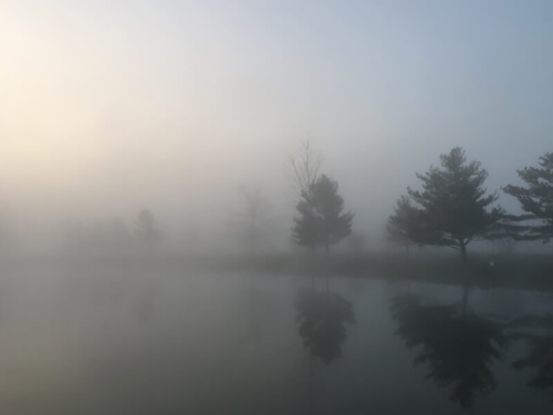Picture Fog